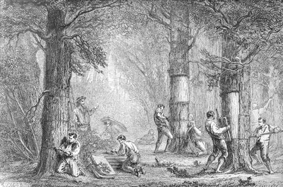 Gathering the Bark of the Cork Tree (engraved by Charles Laplante) by A. Faguet